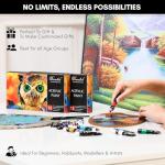 Drawlish Acrylic Paints Set of 12 with 3 Paint Brushes & (12ml) Tubes | Highly-Pigmented Fabric Paint | Ideal for Canvas, Wood, Ceramic, Glass & Rock Painting