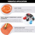 Drawlish Acrylic Paints Set of 12 with 3 Paint Brushes & (12ml) Tubes | Highly-Pigmented Fabric Paint | Ideal for Canvas, Wood, Ceramic, Glass & Rock Painting