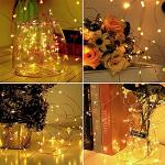 Jsdoin Fairy Lights, 50 LED Battery Operated String Lights Copper Wire Light for Indoor Outdoor Lighting, Bedroom, Wedding Decor, Party, Christmas, Tree Decoration(5M/16ft,WarmWhite)