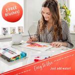 Crafts 4 ALL Watercolour Paint Set - 12 Pack of Premium Quality Watercolours for Kids, Artists, Students, and Beginners – Vibrant Paints w/ 3 Bonus Water Colour Paintbrushes