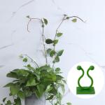 100pcs-Home Garden Plant Climbing Wall Fixture Clips Rattan Vine Fixer Self-Adhesive Plant Climbing Wall Fixed Buckle Hook