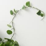 10pcs-Home Garden Plant Climbing Wall Fixture Clips Rattan Vine Fixer Self-Adhesive Plant Climbing Wall Fixed Buckle Hook