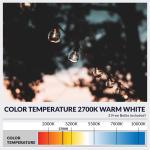 Newhouse Lighting LED G40 String Lights with Weatherproof Technology, 100W Dimmer with Wireless Remote Control, 50ft and 52 (50+2 free) LED Light Bulbs Included