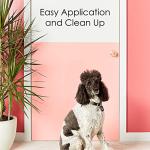 Krylon K05615007 COLORmaxx Acrylic Latex Brush On Paint for Indoor/Outdoor Use, ½ Pint, Satin White