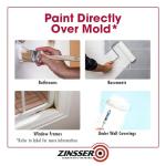 qt Zinsser 276087 White Zinsser, Mold Killing Primer Water-Based Mold Killing Primer