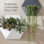 Krylon K05615007 COLORmaxx Acrylic Latex Brush On Paint for Indoor/Outdoor Use, ½ Pint, Satin White