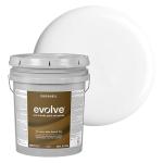 EVOLVE Paint & Primer: Environment-friendly, Low Sheen with One-coat Coverage for Interior & Exterior surfaces (Cloud White, 5-Gallon)