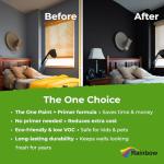 THE ONE All-In-One Paint & Primer - Black Matte, 8.5 Fl Oz/250ml Sample | 1 Coat Formula | Easy Indoor & Outdoor Decorating for Home & Garden Walls, Floors & Furniture | Water-Based & Low VOC