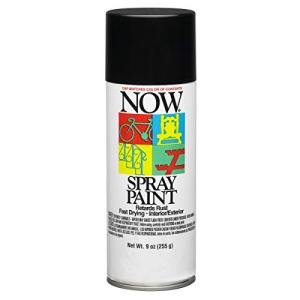 Krylon Now Spray Paint, Gloss, Black, 9 oz