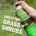 Seymour RENEW Grass and Shrub (Pristine). 17 oz. Can. (Pack of 2)