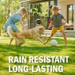 Seymour RENEW Grass and Shrub (Pristine). 17 oz. Can. (Pack of 2)