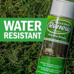 Seymour RENEW Grass and Shrub (Pristine). 17 oz. Can. (Pack of 2)