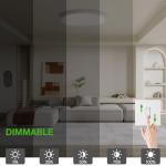 2Pack 12Inch LED Flush Mount Ceiling Light Fixture,24W 2400LM,Dimmable CCT 3000K/4000K/5000K,Round Flat Panel Light for Bedroom,0.7Inch Thin Modern Low Profile Hardwire Lights for Hallway,Porch