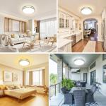 libtit 13-Inch Flush Mount Ceiling Lights, Dimmable 3000K-6500K Adjustable LED Ceiling Light, 24W Round Slim Light Fixture, Brushed Nickel for Kitchen, Bedroom, Bathroom, Hallway-1 Pack