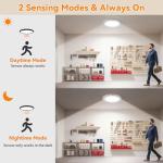 Rechargeable Ceiling Light 2Pack, 3 Color Motion Sensor Lights with Remote, Wireless Closet Light Battery Operated, Magnetic Dimmable LED Lights for Shower Pantry Shed Hallway Porch Garage Stairs