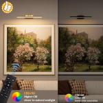 Battery Operated Picture Light for Wall, 4000mAh Cordless Wall Lamp for Painting Photo Artwork , Remote Control, Magnetic for Easy to Charge,Timers, 13.8'' Display for Gallery Living Room Bedroom Gold
