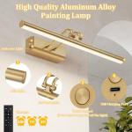 Battery Operated Picture Light for Wall, 4000mAh Cordless Wall Lamp for Painting Photo Artwork , Remote Control, Magnetic for Easy to Charge,Timers, 13.8'' Display for Gallery Living Room Bedroom Gold