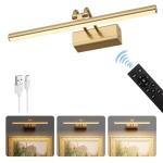 Battery Operated Picture Light for Wall, 4000mAh Cordless Wall Lamp for Painting Photo Artwork , Remote Control, Magnetic for Easy to Charge,Timers, 13.8'' Display for Gallery Living Room Bedroom Gold