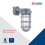 Lithonia Lighting Jelly Jar Light Fixture, Incandescent Utility Vapor Tight Wall Lamp, Industrial Style Wall Light for Indoor and Outdoor Use, 150W, 120V, Includes Junction Box, Grey (VW150I M12)
