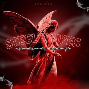 Steele pipes en fittings [Explicit]