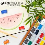 Pinturale Arts Watercolor Set Professional | 24 Richly Pigmented Colors (XL Pans) in Wooden Box | Artist Grade Watercolor Professional Paint Set