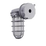 Lithonia Lighting Jelly Jar Light Fixture, Incandescent Utility Vapor Tight Wall Lamp, Industrial Style Wall Light for Indoor and Outdoor Use, 150W, 120V, Includes Junction Box, Grey (VW150I M12)