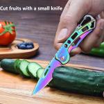 Outdoor stainless steel folding knife, mini pocket knife, portable fruit slicing knife, hunting and fishing survival hand tools