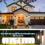 Kalium Porch Lights Outdoor Wall Light Fixture 2pcs, Matte Black, Wall Sconce 12.4 in, Toughened Frame, Clear Glass Shade, Waterproof Lanterns, for Patio, Exterior, Front, Door, Entryway