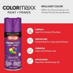 Krylon K05536007 COLORmaxx Spray Paint and Primer for Indoor/Outdoor Use, Gloss Rich Plum , 12 Ounce (Pack of 1)