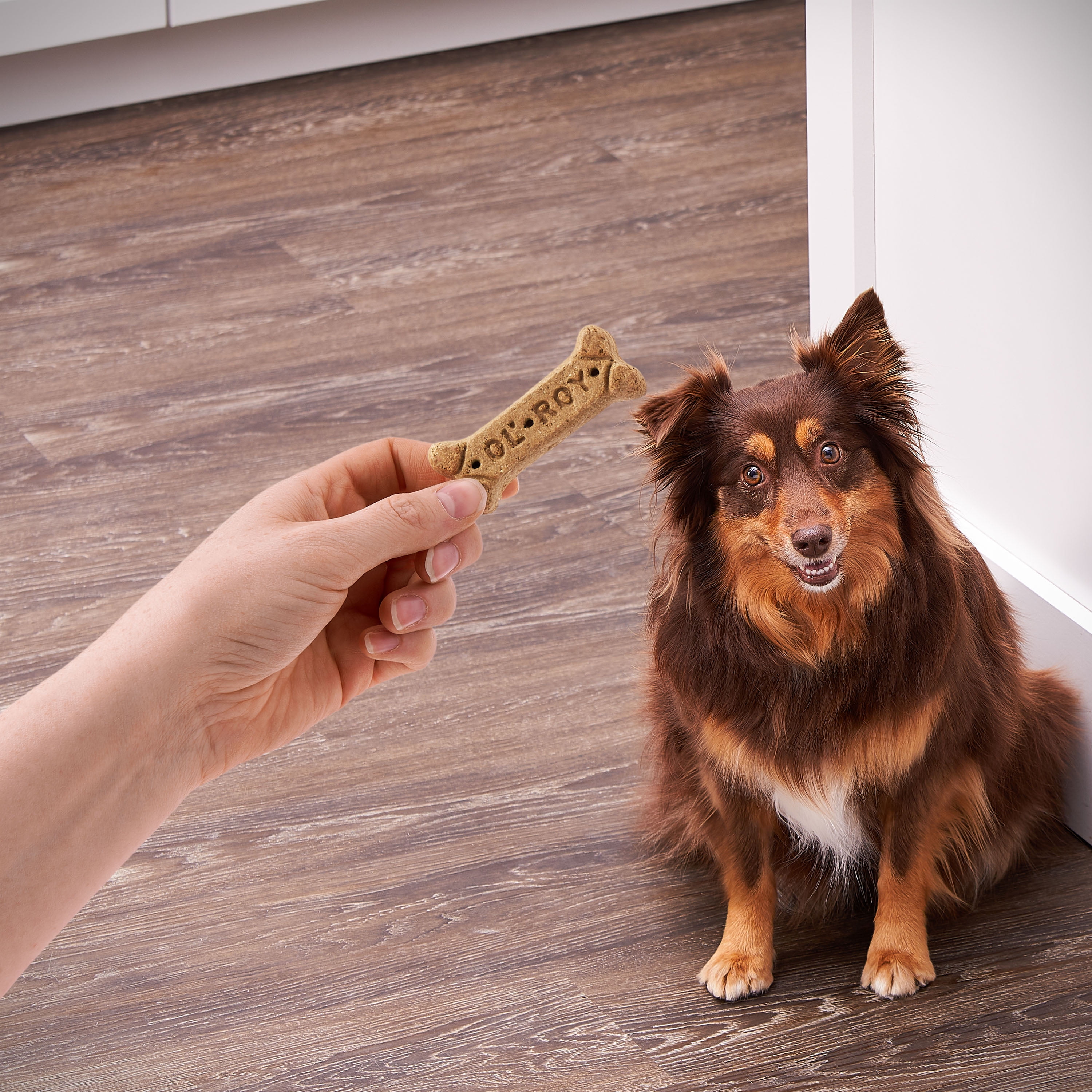 Meaty Flavored Dog Treats for Small Breeds