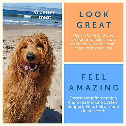 Freeze-Dried Salmon Treats for Dogs' Health