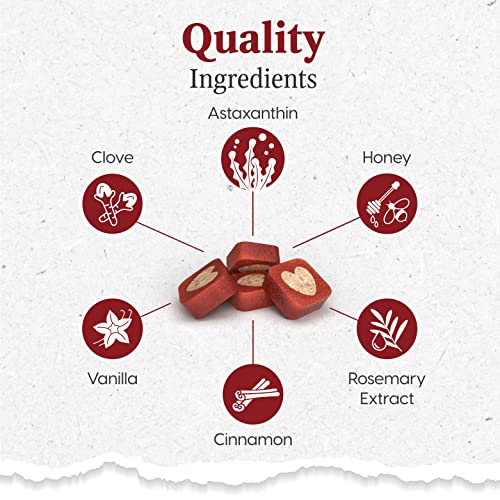 ARK NATURALS Brushless Dog Toothpaste Chews for Mini Breeds