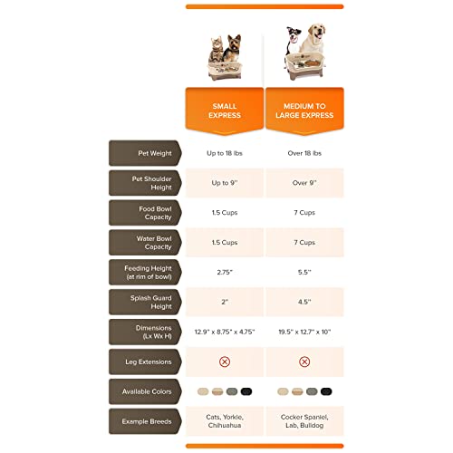 Neater Feeder Express for Small Poodles