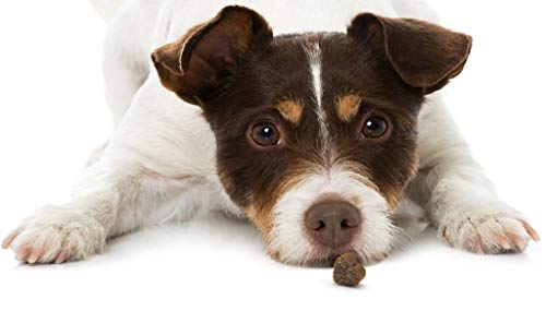 Pet Greens Semi-Moist Training Treats for Dogs