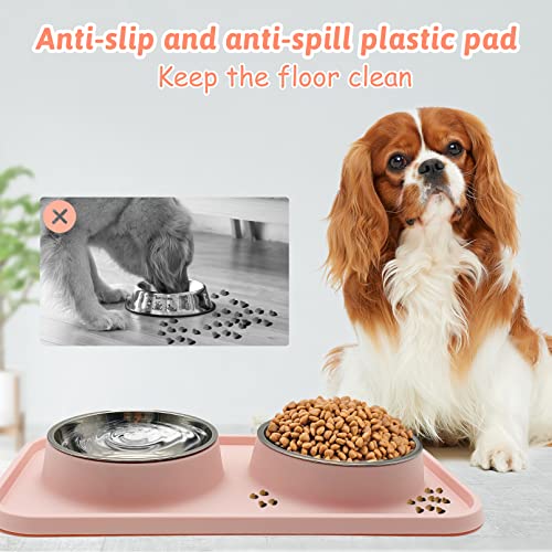Stainless Steel Double Dog Bowls with Spill Mat