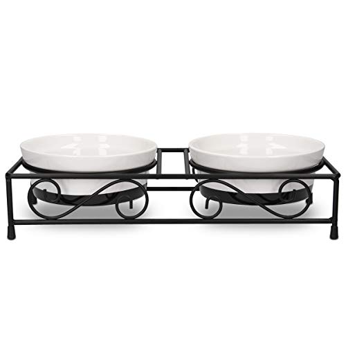 Elevated Ceramic and Metal Food Bowls Set
