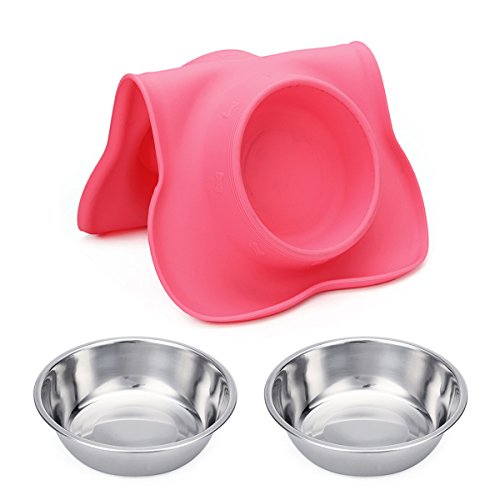 Stainless Steel Non-Spill Dog Bowls with Silicone Base