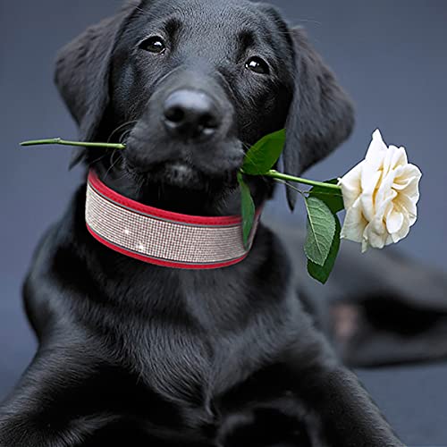 IDOLPET Stylish Bling Dog Collar for Poodles