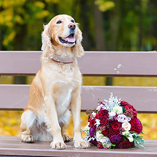 IDOLPET Stylish Bling Dog Collar for Poodles