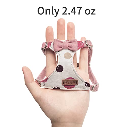 Small Dog No-Pull Harness with Leash, Taro Purple