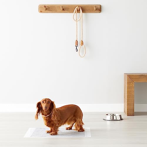 Leakproof 5-Layer Puppy Training Pads