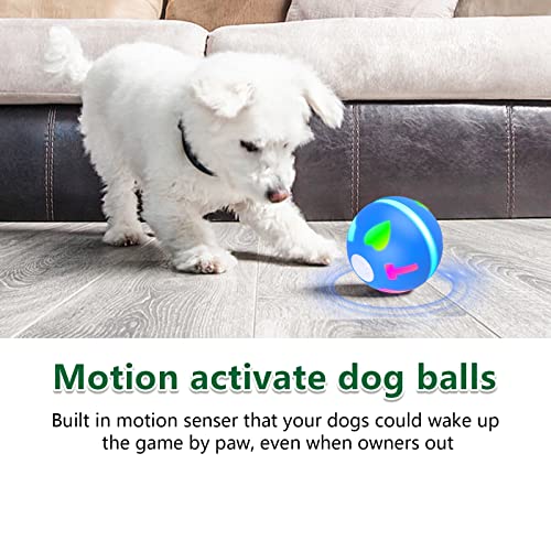 AUKL Interactive Motion-Activated Dog Ball