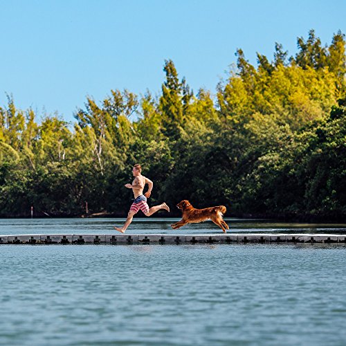 Nulo Grain-Free Small Breed Dry Dog Food 10 lb