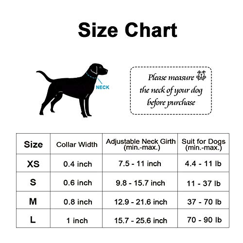 Personalized Soft Adjustable Dog Collar for Poodles