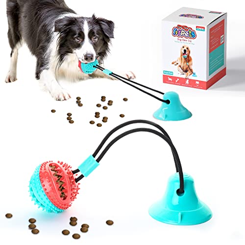 Sturdy Suction Cup Toy for Poodles and Dogs