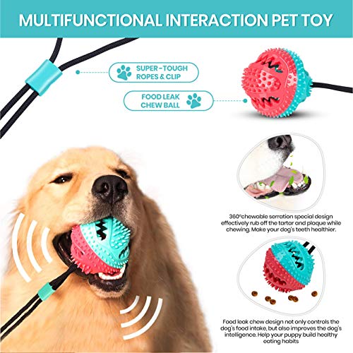 Sturdy Suction Cup Toy for Poodles and Dogs