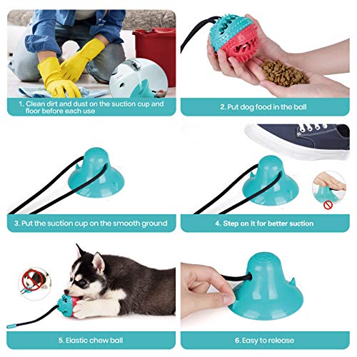 Sturdy Suction Cup Toy for Poodles and Dogs
