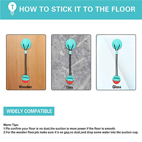 Sturdy Suction Cup Toy for Poodles and Dogs