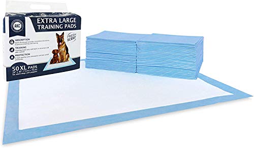 Ultra Absorbent Scented Puppy Training Pads