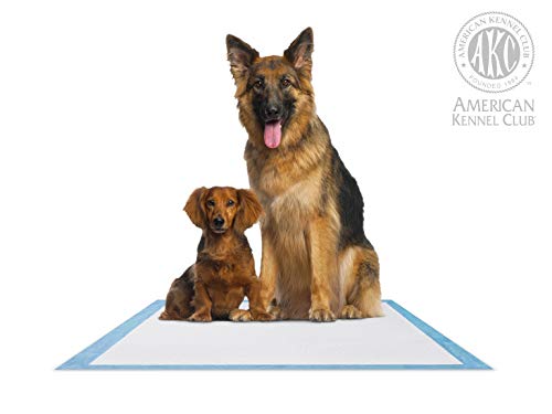 Ultra Absorbent Scented Puppy Training Pads